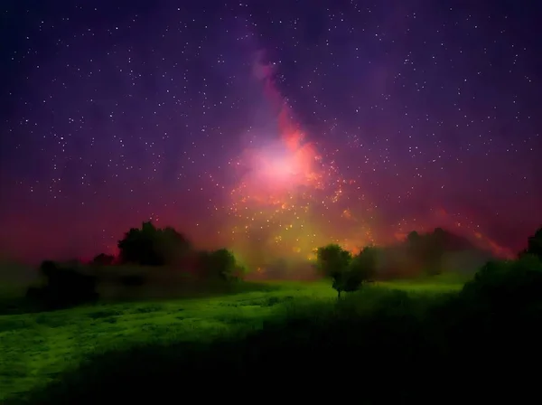 Beautiful Night Landscape Stars Forest — Fotografia de Stock