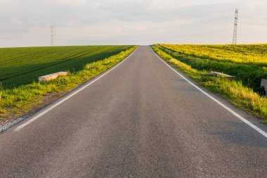 Kırsalda sıcak bir gün. Günbatımında sarı tecavüz sahası