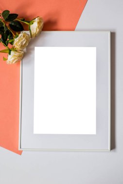 Süslemeli beyaz resim çerçevesi. Fotoğrafın ya da mesajın için hazırlan. Eserlerinizi yerleştirin, baskı sanatı, beyaz arka plan, pastel renk kitabı. Fotogerçekçi 3D çizim. Turuncu ve beyaz arkaplan