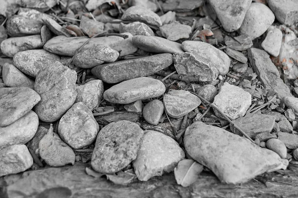 Rocas Agrupadas Algunas Ellas Rotas Junto Con Pequeñas Ramas Hojas —  Fotos de Stock