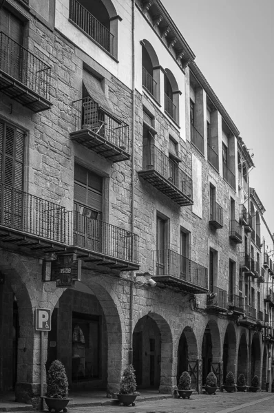 Borgo Medievale Cardona Provincia Barcellona Catalogna Spagna Famoso Sua Montagna — Foto Stock