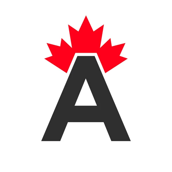 List Symbol Szablonu Liści Klonu Kanady Minimalny Biznes Kanadyjski Logo — Wektor stockowy