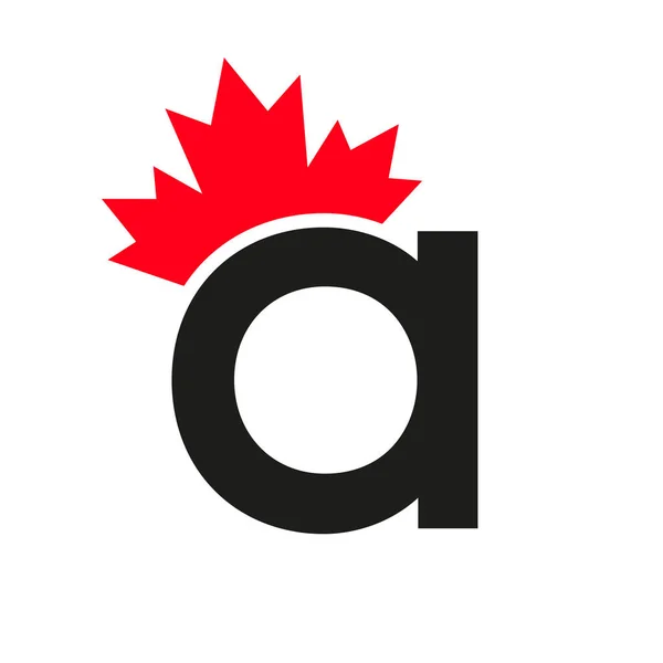 Letter Maple Leaf Logo Šablony Symbol Kanady Minimální Kanadský Business — Stockový vektor