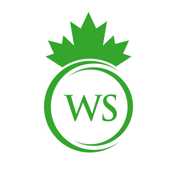 Letter Maple Leaf Logo Template Symbol Canadian Business Company Logo — Image vectorielle