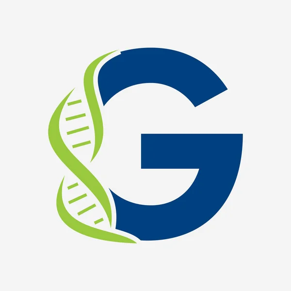 Sağlık Sigortası için G harfi vektör şablonuna ilk DNA logosu