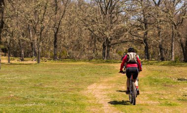 Sunny day in the forest riding a bike through a path