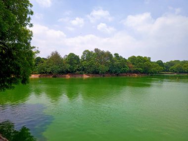 Güzel göl ağaçlarıyla çevrili