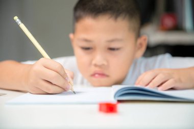 Boy person sitting study indoor at home, Male kid student online learning and doing homework on desk, young child reading and writing a book on table. concept of education, technology cyberspace