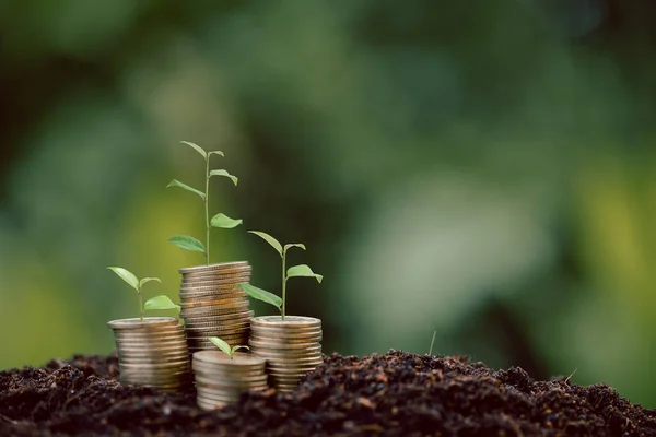 Money coin stack with seedling plant growing on green nature environment background. interest bank, business investment growth idea. grow loan, saving earning economic, finance and accounting concept