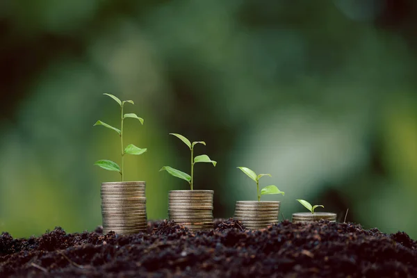 Money coin stack with seedling plant growing on green nature environment background. interest bank, business investment growth idea. grow loan, saving earning economic, finance and accounting concept