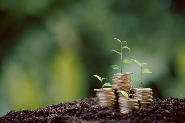 Money coin stack with seedling plant growing on green nature environment background. interest bank, business investment growth idea. grow loan, saving earning economic, finance and accounting concept
