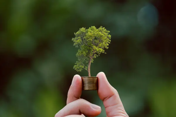 Dinero Pila Monedas Con Plantas Semillero Que Crecen Entorno Naturaleza — Foto de Stock