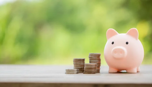 Savings Business Investments Concept Money Coin Stacking Wood Desk Green — Stock Photo, Image