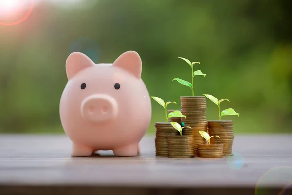 Dinheiro Pilha Moeda Crescente Gráfico Com Conceito Poupança Banco Porquinho — Fotografia de Stock