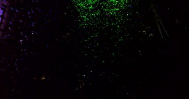 kalabalık bir konserde