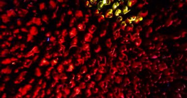 Concert Crowd, Clapping Audience