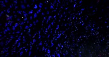 Seyirciyi Alkışlamak Dans Eden İnsanlar