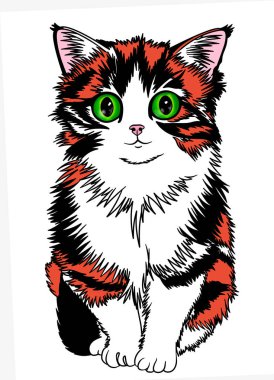 A three-colored fluffy cartoon cat with big green eyes is sitting looking forward isolated on white background. Digital art.