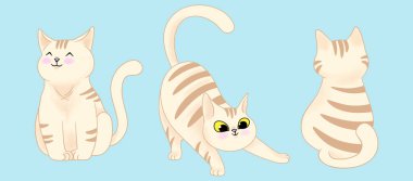 Set of three cute cartoon tabby cats on blue background. Digital illustration.