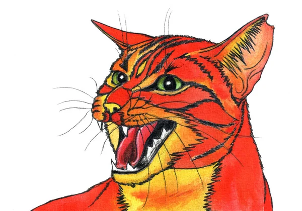 Watercolor hand-drawn painting of an angry red cat with green eyes and a cut ear. Isolated on a white background.