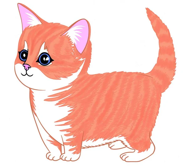 Cute Cartoon Ginger Kitten Big Blue Eyes Ready Play Digital — Stock Fotó
