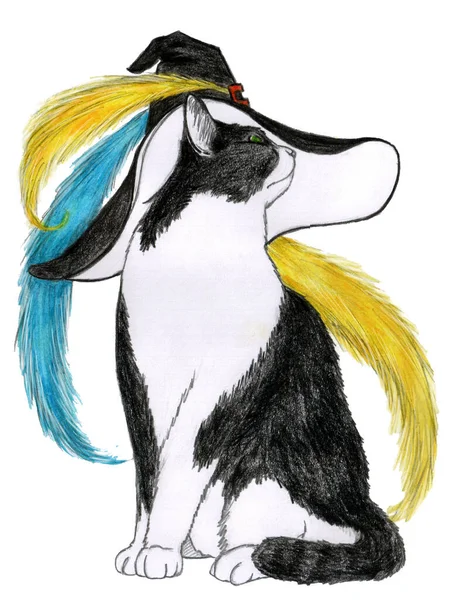 A Black and white magic cat in a witch's hat with three blue and yellow feathers is sitting looking away on white background. Pencil hand drawing.