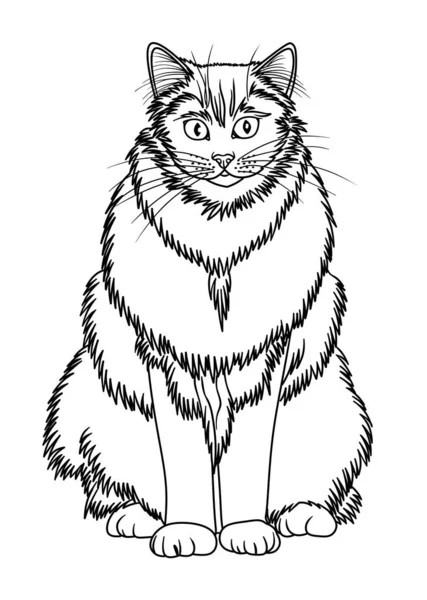 A pedigree white fluffy cat illustration, sitting and looking forward, isolated on the white background. Digital illustration.