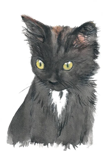 Portrait of a curious black cat with yellow eyes and white tie on white background. Watercolor painting isolated