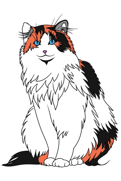 Three Colored Fluffy Cat Blue Eyes Isolated White Background Sits — Zdjęcie stockowe