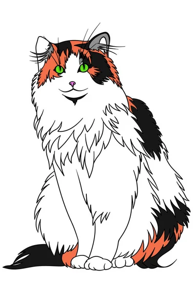 Three Colored Fluffy Cat Green Eyes Isolated White Background Sits — 图库照片