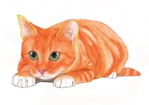 Watercolor pencils hand drawing of a curious red cat with green eyes laying on his belly ready to jump