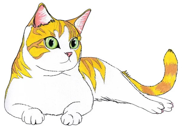A multicolored cat with big green eyes in resting on his side on white background. Gouache and pen hand drawing