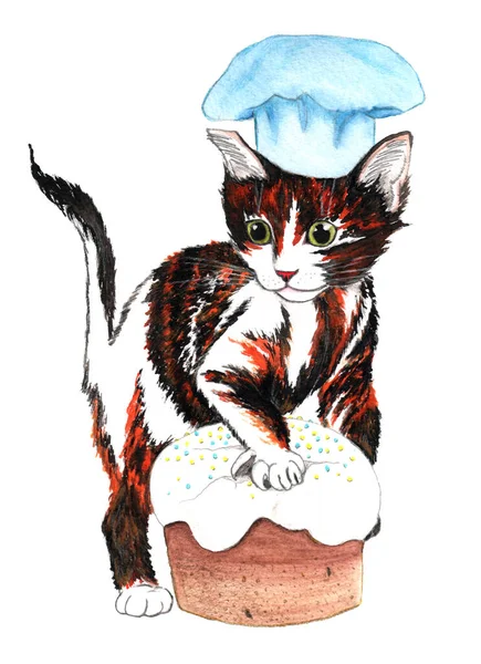Alert multicolored cat in a baker's hat is standing with his paw on a top of an Easter bread, isolated on white background. Water color hand drawing