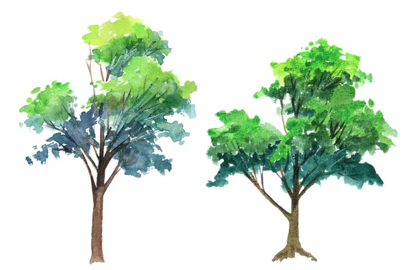 Green Trees Isolated White Background Watercolor Hand Drawing Imágenes de stock libres de derechos