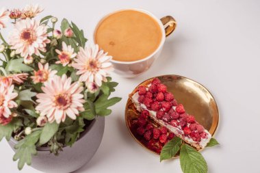 Top view of appetizing piece of cake with fresh raspberries on golden plate. Cup of delicious coffee in background.   Blurry chrysanthemums in pot in the foreground. White background. Sweet concept.  