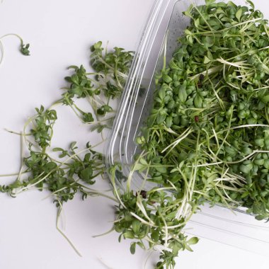 Close - up of appetizing microgreens in transparent plastic box on white background. Healthy food concept. Excellent image for healthy food banners and advertisements.