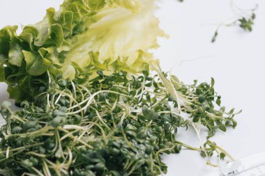 Close - up of appetizing, fresh microgreens and lettuce on white background. Excellent image for healthy food banners and advertisements.