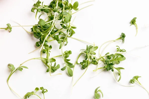 Close Appetizing Fresh Microgreens White Background Excellent Image Healthy Food — Stockfoto