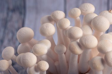 Close-up of delicate white shimeji mushrooms on light background. Food background. 