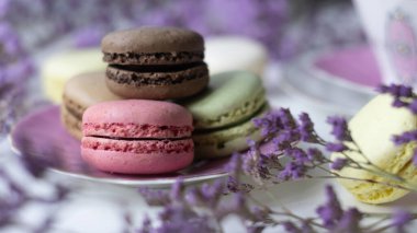 Şirin pembe tabakta renkli badem kurabiyelerinin yakın çekimi. Dumanlı bir arka plan. Güzel kavram. Tatlı afişleri ve reklamlar için mükemmel bir görüntü. Metnin için yer.