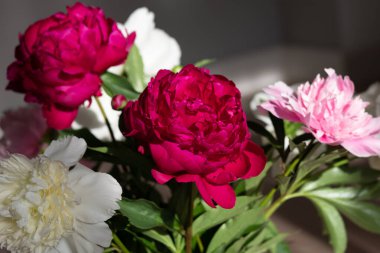 Çeşitli şakayıklardan oluşan süslü buketlerin yakın çekimi. Arka planda bulanık bir oda. Tebrik kartı. Kartpostal.