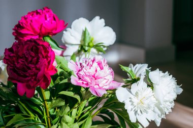 Çeşitli şakayıklardan oluşan süslü buketlerin yakın çekimi. Arka planda bulanık bir oda. Tebrik kartı. Kartpostal.