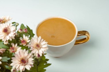 Taze ahududu ve arka planda bulanık aromalı kahve ile nefis bir parça kek. Bulanık beyaz arka plan. Güzel kavram. Tatlı afişleri ve reklamları için mükemmel bir görüntü..