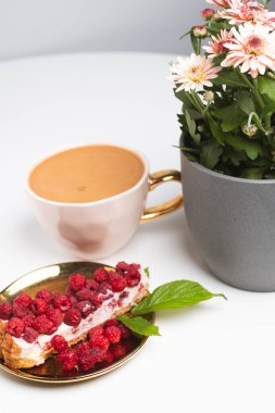 Taze ahududu ve arka planda bulanık aromalı kahve ile nefis bir parça kek. Bulanık beyaz arka plan. Güzel kavram. Tatlı afişleri ve reklamları için mükemmel bir görüntü..