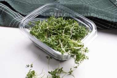 Close - up of appetizing microgreens in transparent plastic box on white background. Healthy food concept. Excellent image for healthy food banners and advertisements.