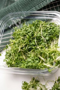 Close - up of appetizing microgreens in transparent plastic box on white background. Healthy food concept. Excellent image for healthy food banners and advertisements.