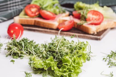 Mikroyeşillikler, domatesler ve taze marullarla süslenmiş lezzetli tostların yakın çekimi. Sağlıklı kahvaltı. Arka planda yeşil havlu var. Beyaz arkaplan.