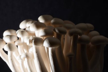 Siyah arkaplandaki beyaz shimeji mantarlarının görüntüsü. Metin, yemek arkaplanı, siyah beyaz. Ev yapımı yemek afişleri ve reklamlar için mükemmel bir imaj..