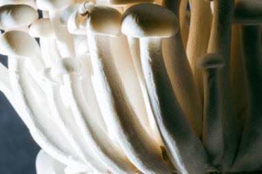 Siyah arkaplandaki beyaz shimeji mantarlarının görüntüsü. Metin, yemek arkaplanı, siyah beyaz. Ev yapımı yemek afişleri ve reklamlar için mükemmel bir imaj..