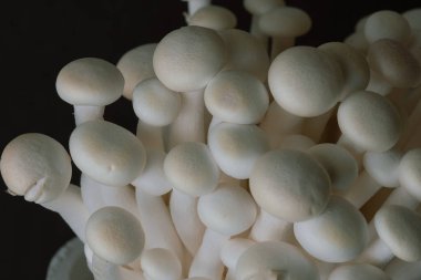 Siyah arkaplandaki beyaz shimeji mantarlarının görüntüsü. Metin, yemek arkaplanı, siyah beyaz. Ev yapımı yemek afişleri ve reklamlar için mükemmel bir imaj..